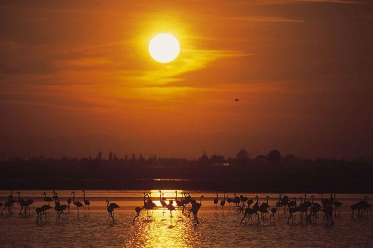 tramonto